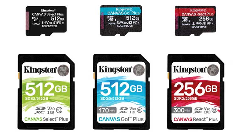 Kingston Canvas Plus